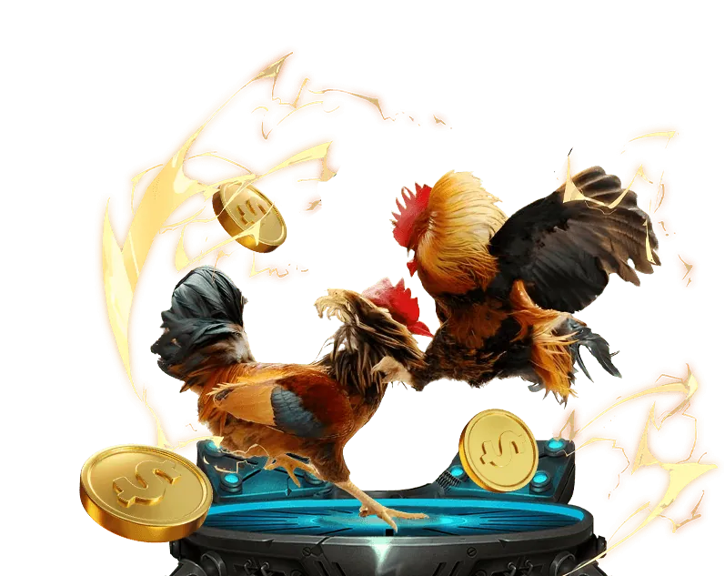 Hoàn trả đá gà Thabet VIP